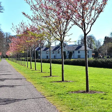 The Birches Pensión