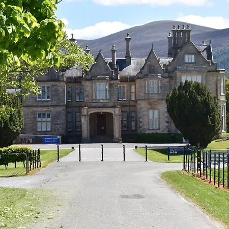 The Birches Killarney