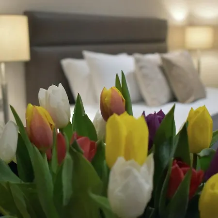 The Birches Killarney