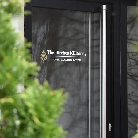 Гостевой дом The Birches 4*