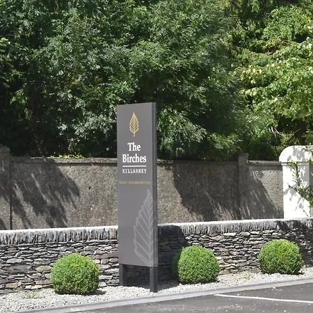 The Birches Гостевой дом Килларни