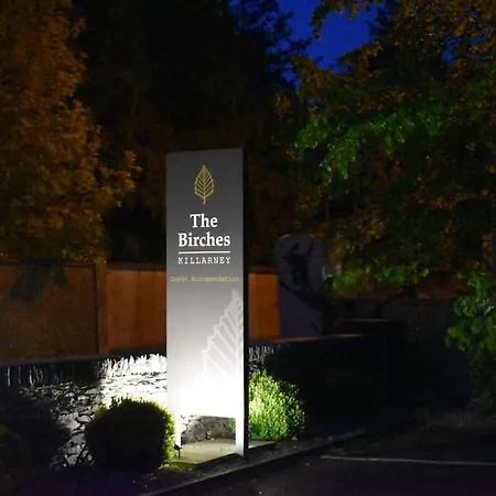 Maison d'hôtes The Birches Killarney