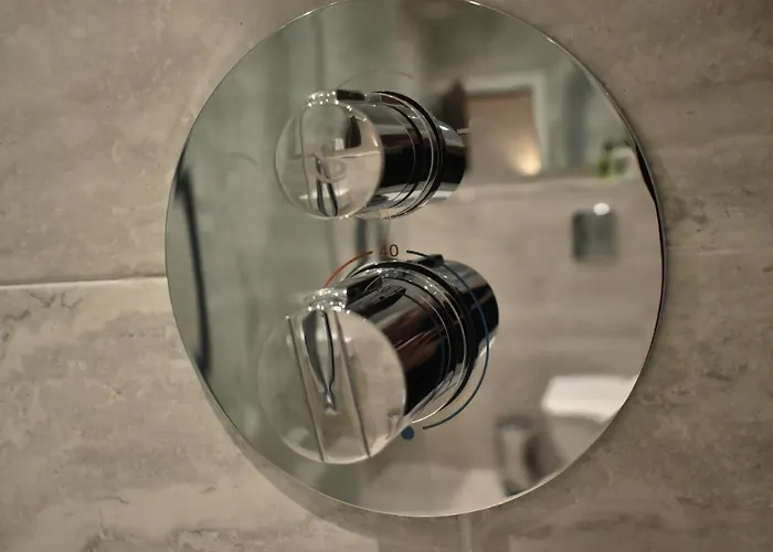 The Birches キラーニー