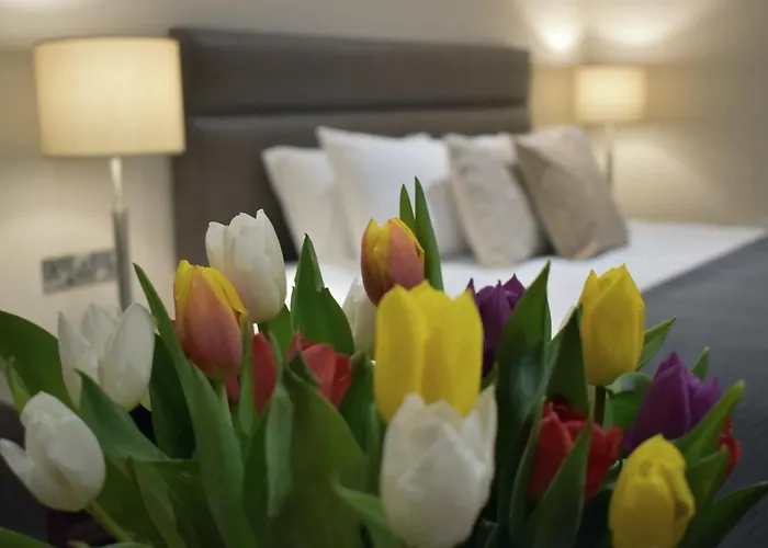 The Birches キラーニー