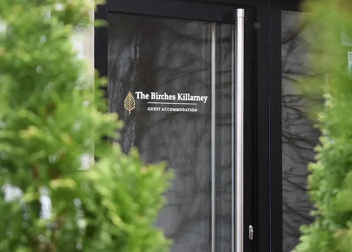 ゲストハウス The Birches 4*