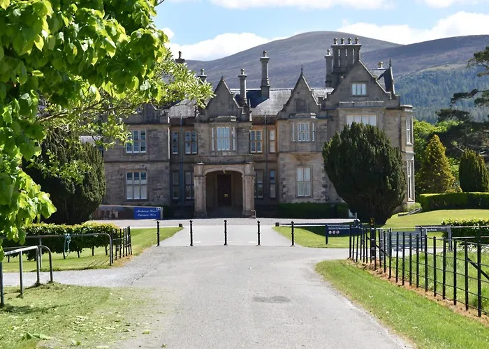 The Birches Cill Airne