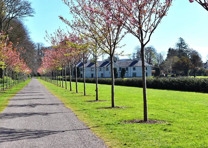 The Birches Gasthuis